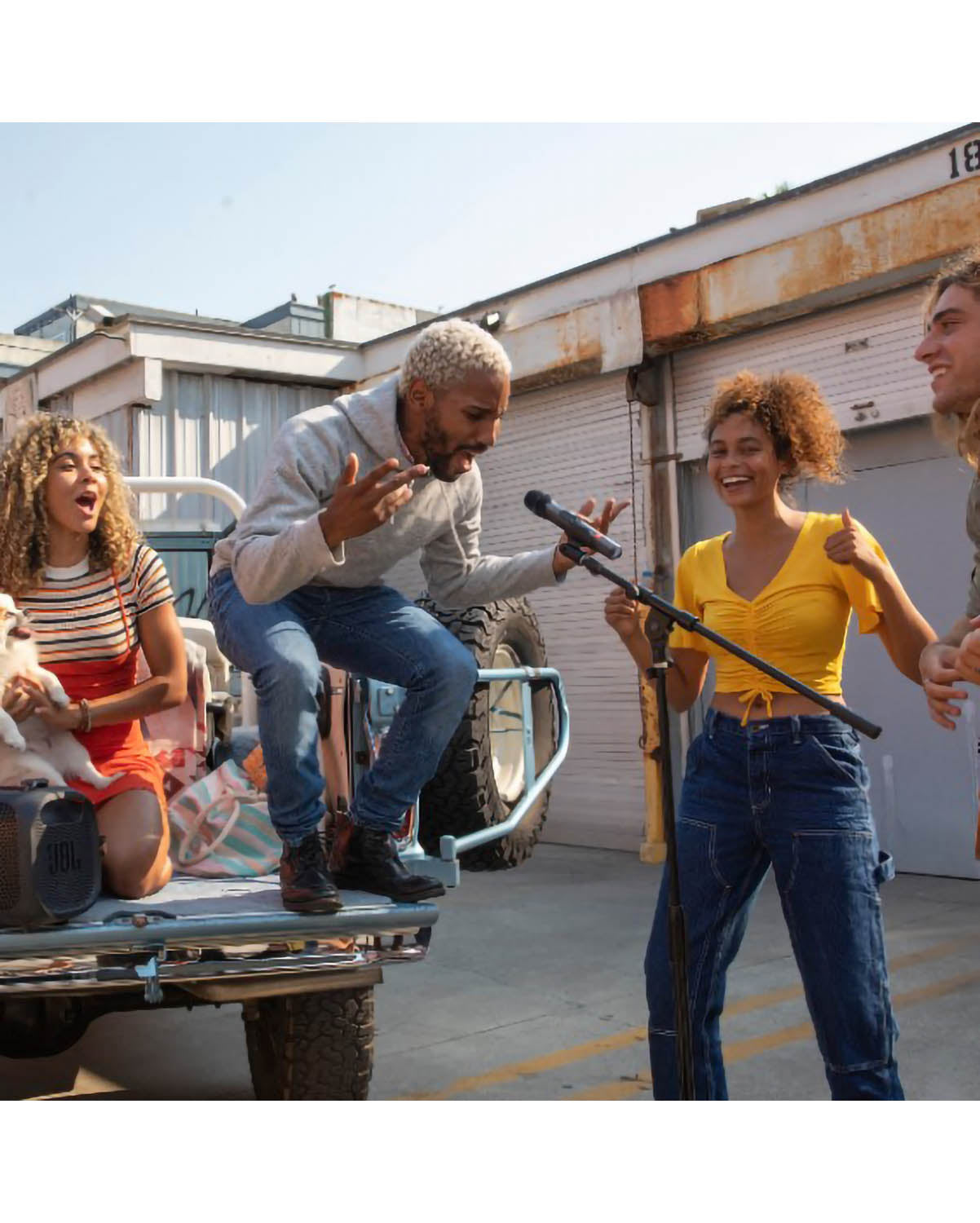 JBL Wired Microphone