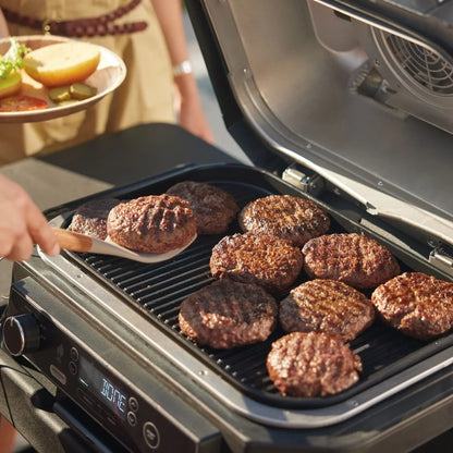 Ninja Woodfire Electric BBQ Grill and Smoker - Cool Grey